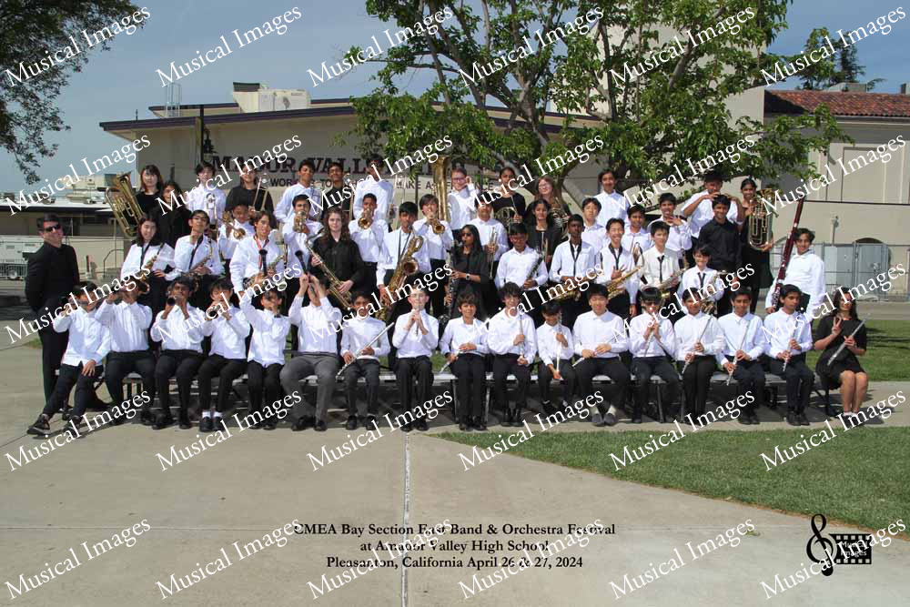 Musical Images